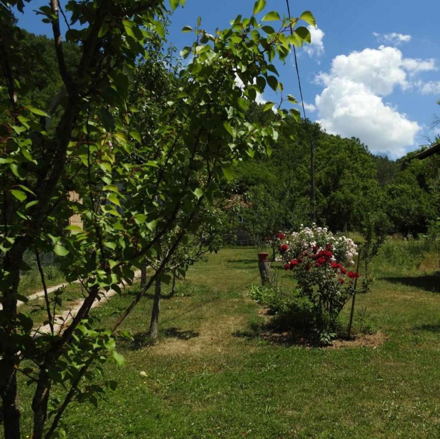 Omar & Una Apartmani Bihać Kültér fotó